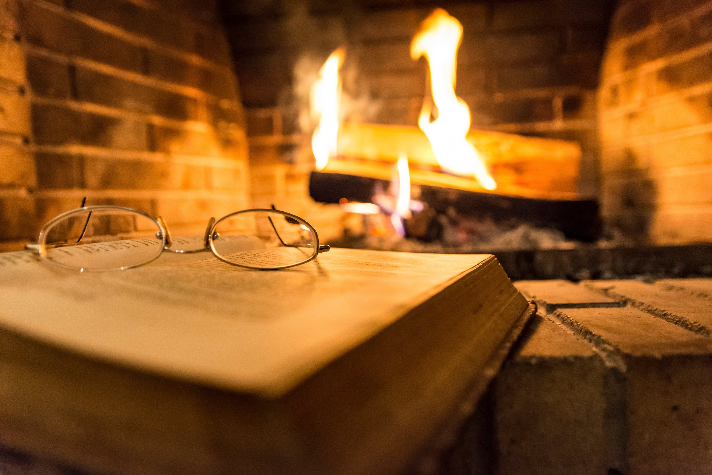 Choosing the Right Firewood for Your Fireplace