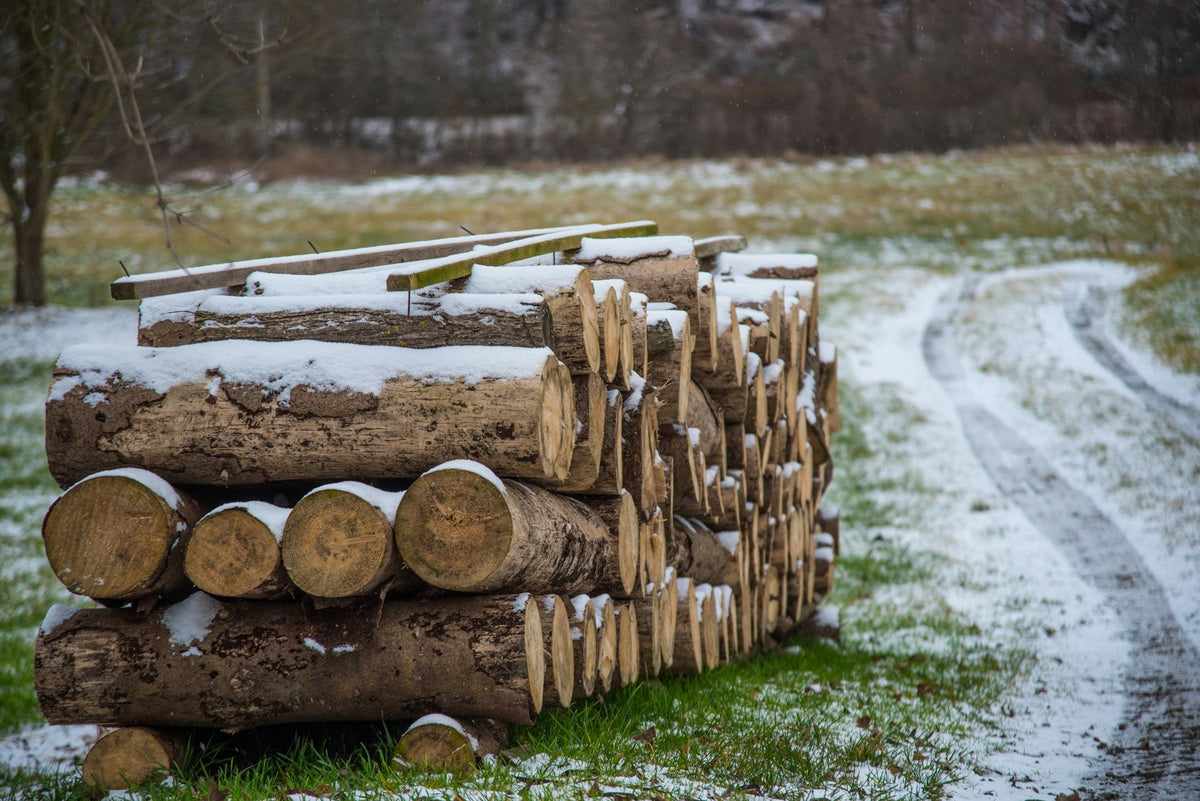 Cedar Logs For Log Homes – 6x6 D-Logs, 8 Ft Length, Kiln-Dried, Untreated