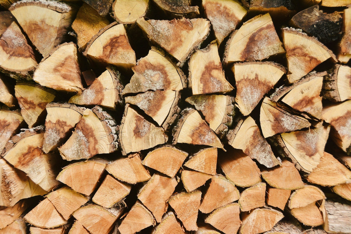 is beech wood hard or soft